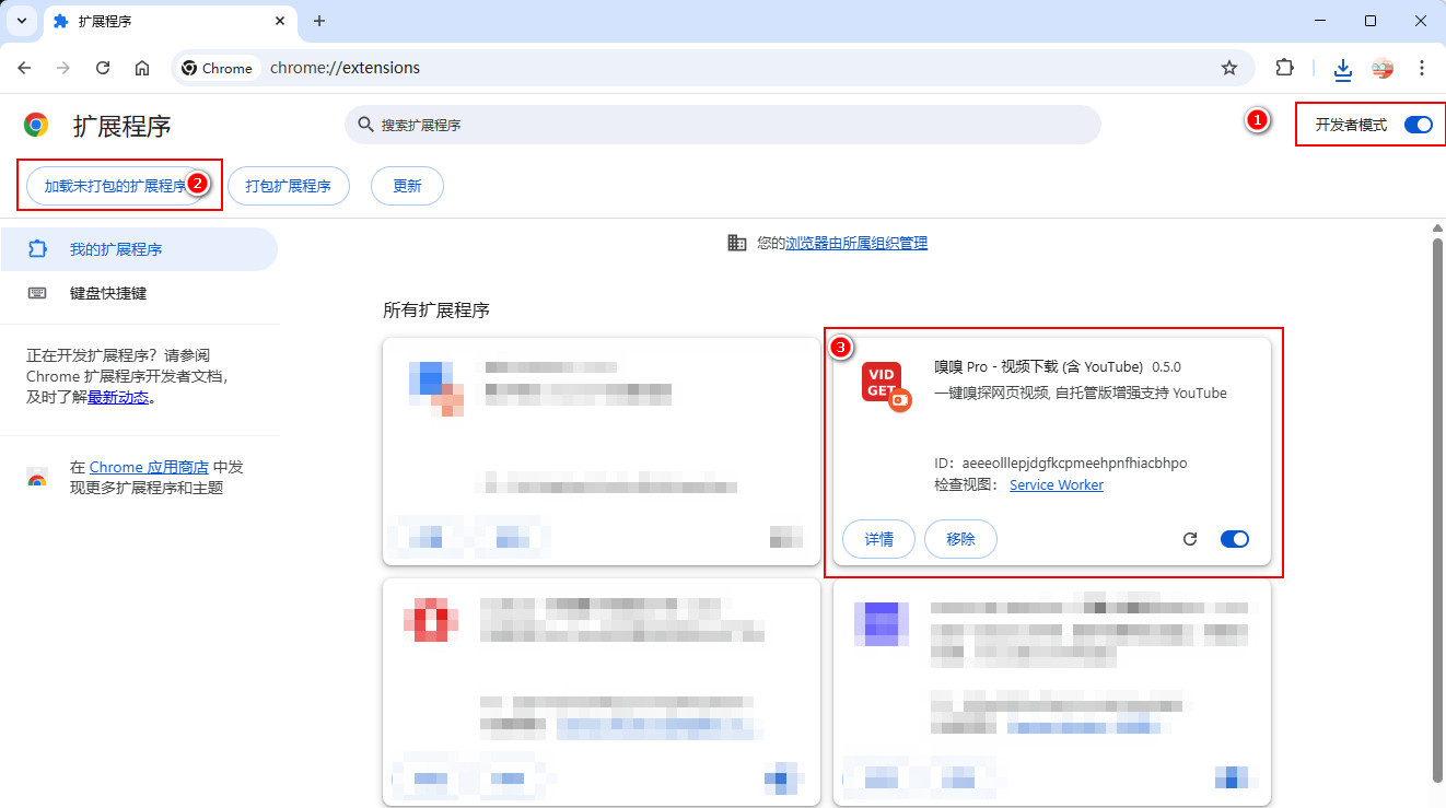 Chrome 扩展程序页面总览